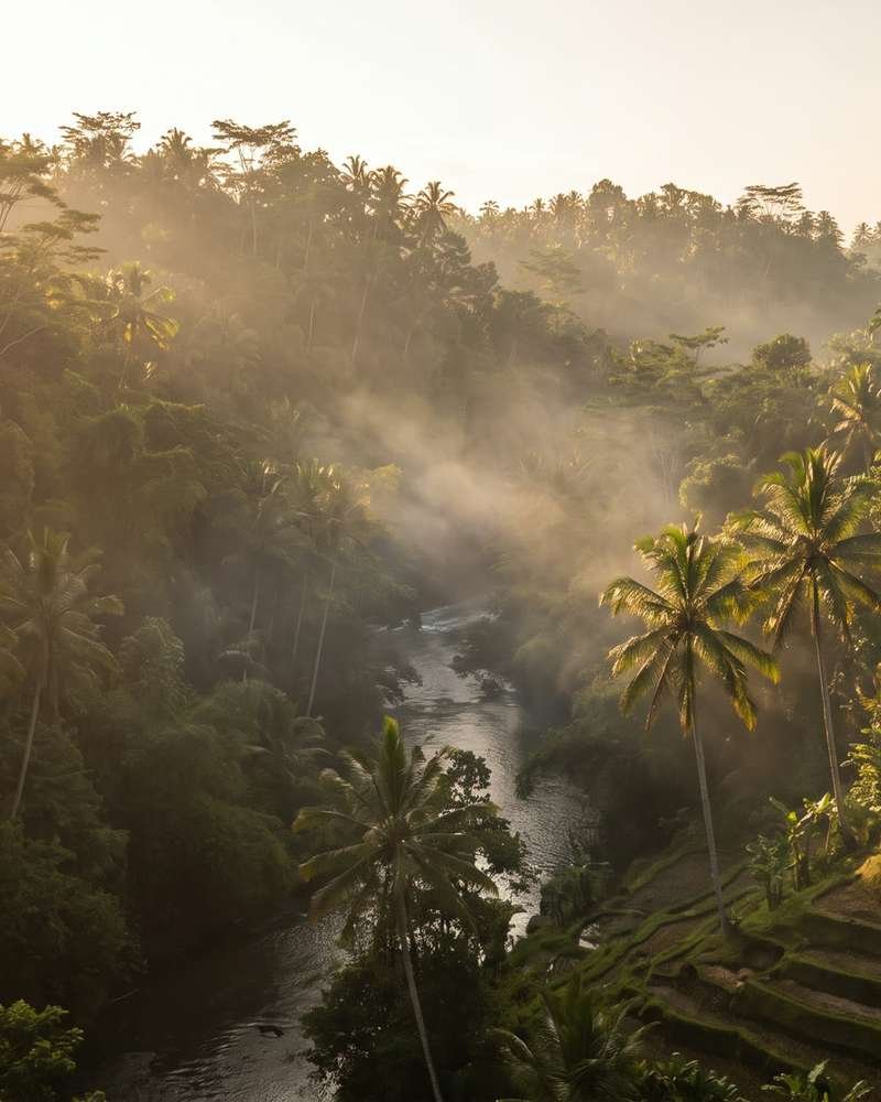 Illustration of a misty jungle river valley at golden hour